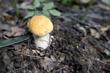 Similar image 21671601