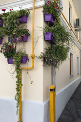 Similar image 21671605