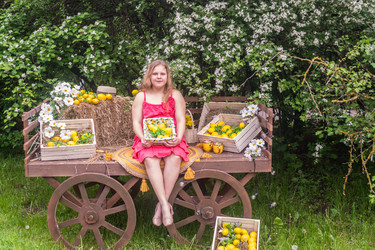 Similar image 21672279