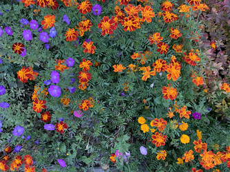 Similar image 21670788