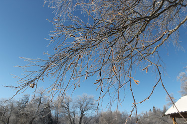 Similar image 21670792