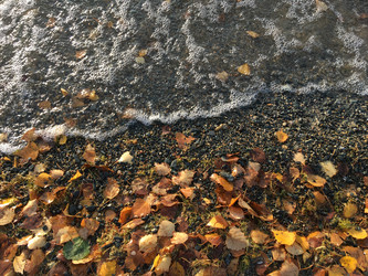 Similar image 21670798