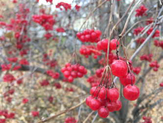 Similar image 21670799