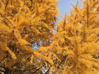 Similar image 21670801