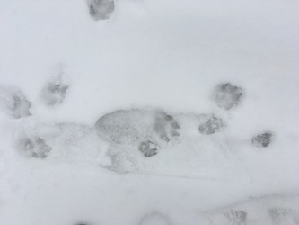 Similar image 21670805