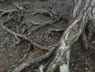 Similar image 21670806