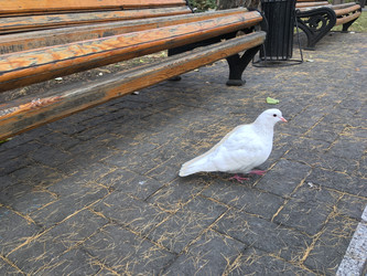 Similar image 21670826