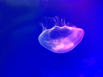 Similar image 21670829