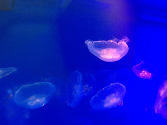 Similar image 21670830