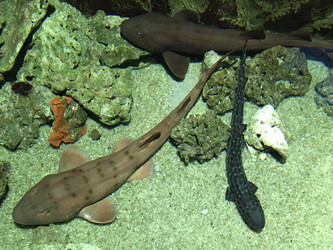 Similar image 21670831