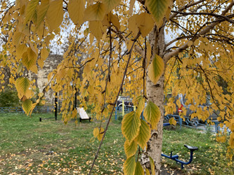 Similar image 21670838