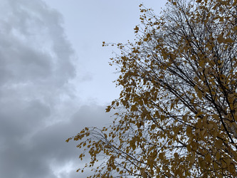 Similar image 21670839