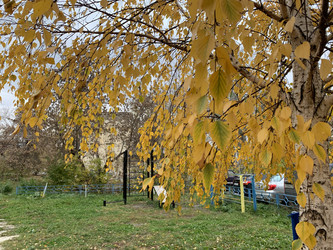 Similar image 21670841