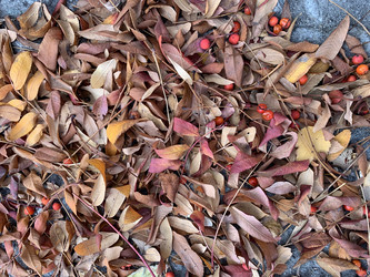 Similar image 21670842