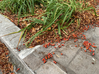 Similar image 21670843