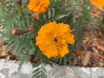 Similar image 21670844