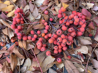 Similar image 21670845