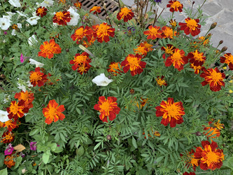 Similar image 21670846