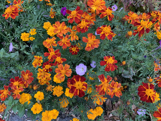 Similar image 21670848