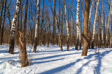 Similar image 21671312