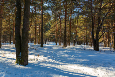 Similar image 21671313