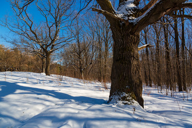 Similar image 21671314