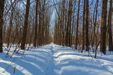 Similar image 21671315