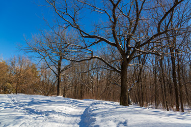 Similar image 21671316