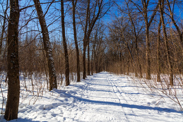 Similar image 21671317