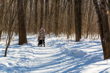 Similar image 21671319