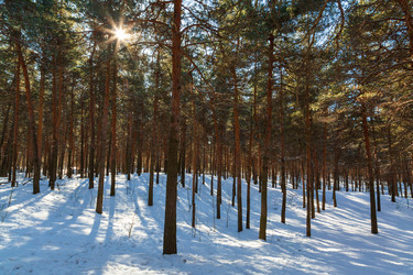 Similar image 21671321