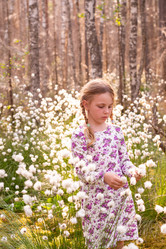 Similar image 21672346