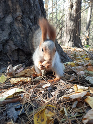 Similar image 21670852