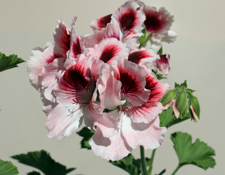 Similar image 21670857