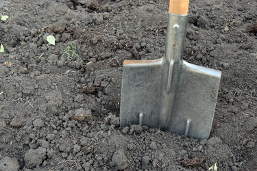 Similar image 21670861