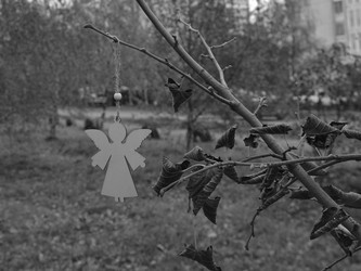 Similar image 21671334