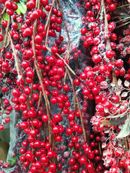 Similar image 21671335