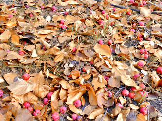 Similar image 21671337