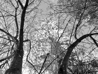 Similar image 21671339