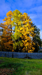 Similar image 21671341