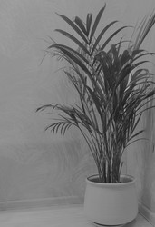 Similar image 21671346