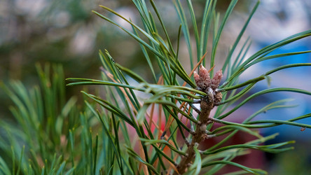 Similar image 21671352