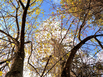 Similar image 21671358