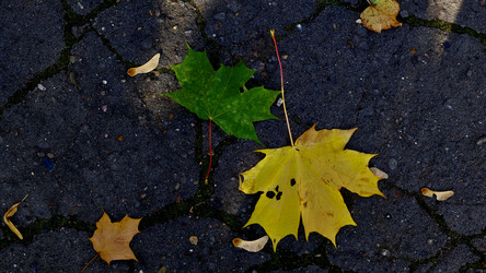 Similar image 21671368