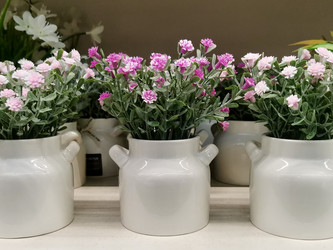 Similar image 21671369