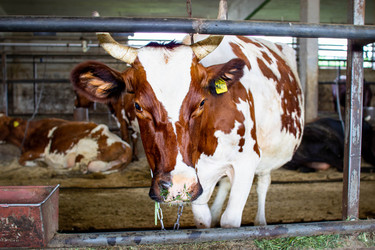 Similar image 21671293