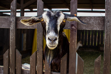 Similar image 21670864