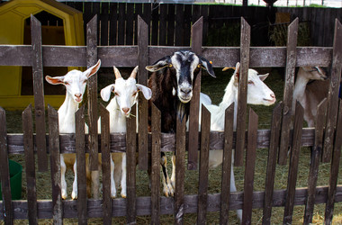 Similar image 21671617