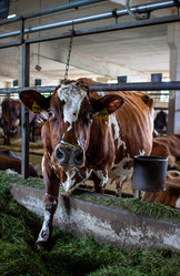 Similar image 21671370