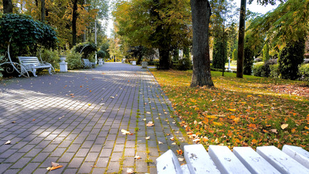 Similar image 21671373